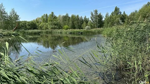 Водоемы опасны. Водоемы опасны.